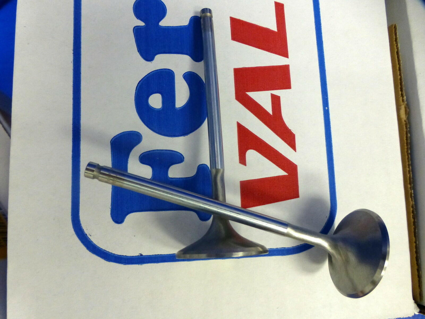 Ferrea 6000 For Honda CRV DOHC 16 Valve B20A B20Z 1997-2000 Exhaust 28 Intake 31