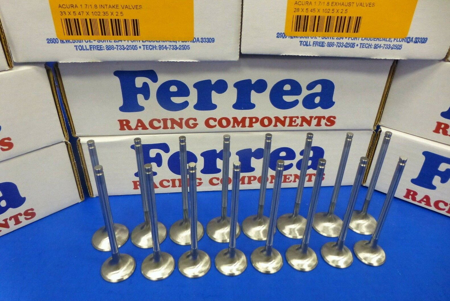 Ferrea Competition Plus Valves Honda Acura DOHC VTEC B16 B16A B17A1 B18C1 B18C